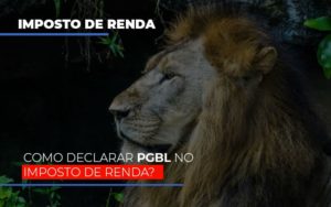 Ir2020:como Declarar Pgbl No Imposto De Renda Notícias E Artigos Contábeis Notícias E Artigos Contábeis - LO Consultoria