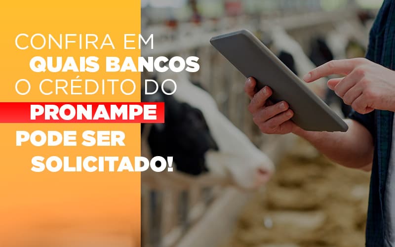 Confira Em Quais Bancos O Credito Pronampe Ja Pode Ser Solicitado Notícias E Artigos Contábeis Notícias E Artigos Contábeis - LO Consultoria