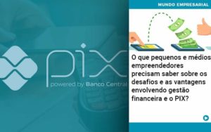 O Que Pequenos E Médios Empreendedores Precisam Saber Sobre Os Desafios E As Vantagens Envolvendo Gestão Financeira E O Pix Quero Montar Uma Empresa - LO Consultoria