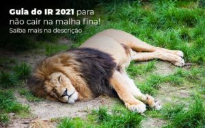 Guia Ir 2021 Para Nao Cair Na Malha Fina Saiba Mais Na Descricao Post 1 - LO Consultoria